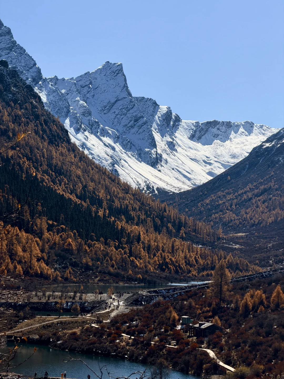 11.8实拍！川西赏秋豪赌成功！（附不堵车攻略