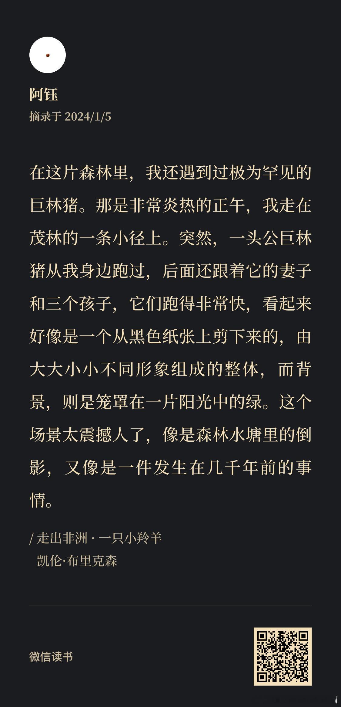 2024年的第一本 《走出非洲》 ​​​