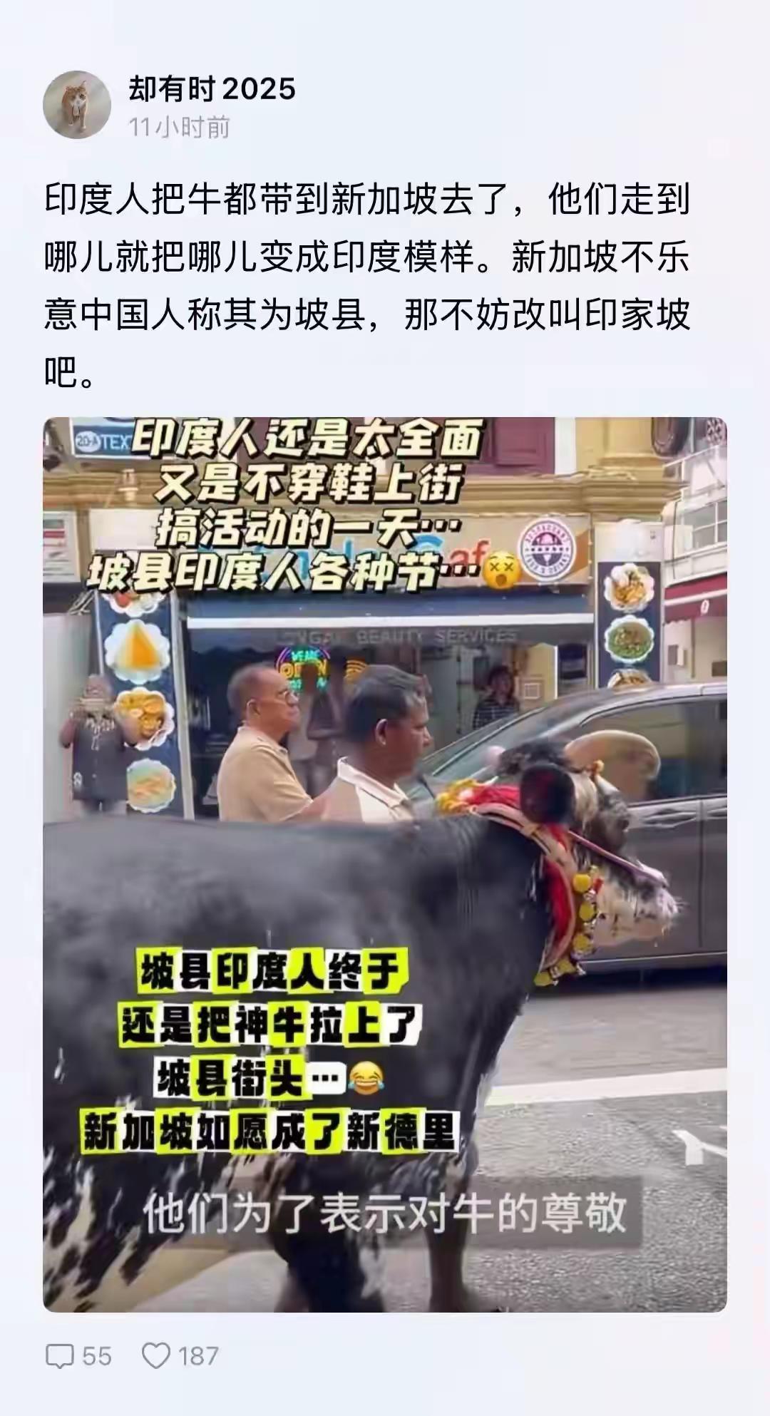 新加坡终于如愿变成了印家坡！