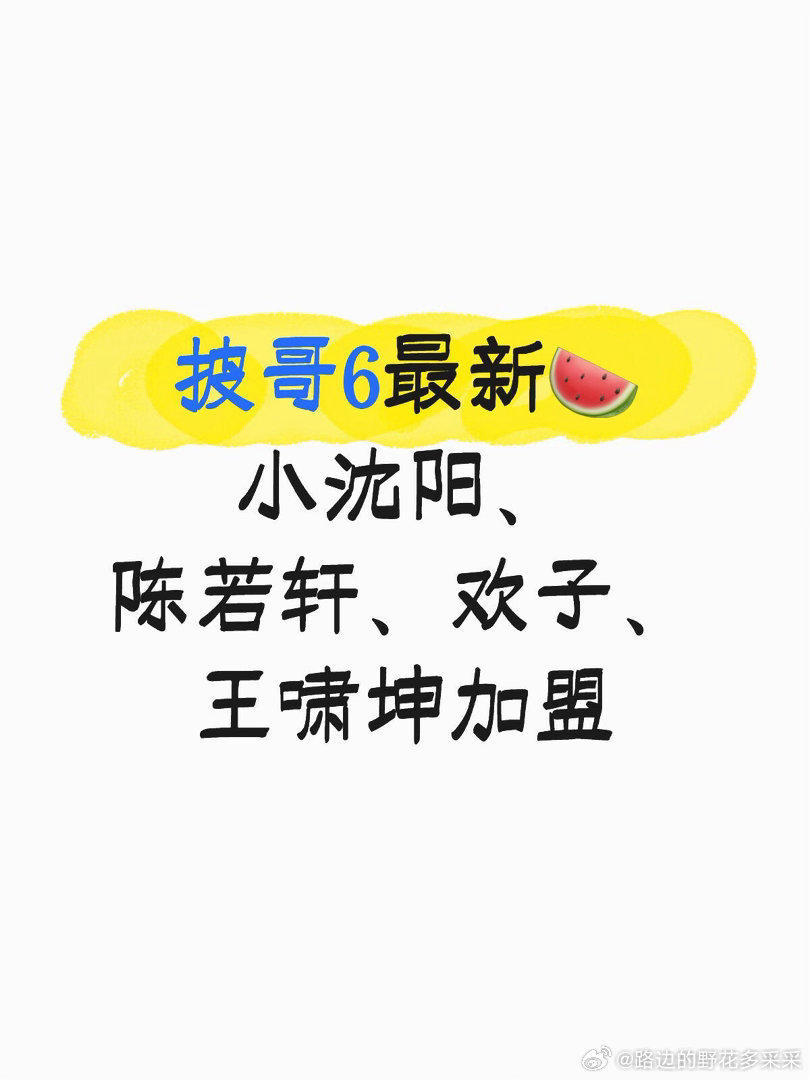 披哥6最新🍉小沈阳、陈若轩、欢子、王啸坤加盟披哥6哥哥名单（实时更新中）:余文
