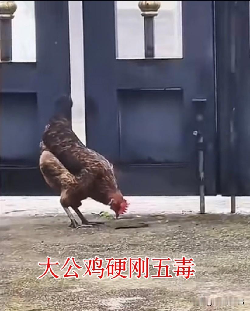 【日本网友，看看《人民日报》官方账号转载的】
4月21日，江西赣州一女子发布了一