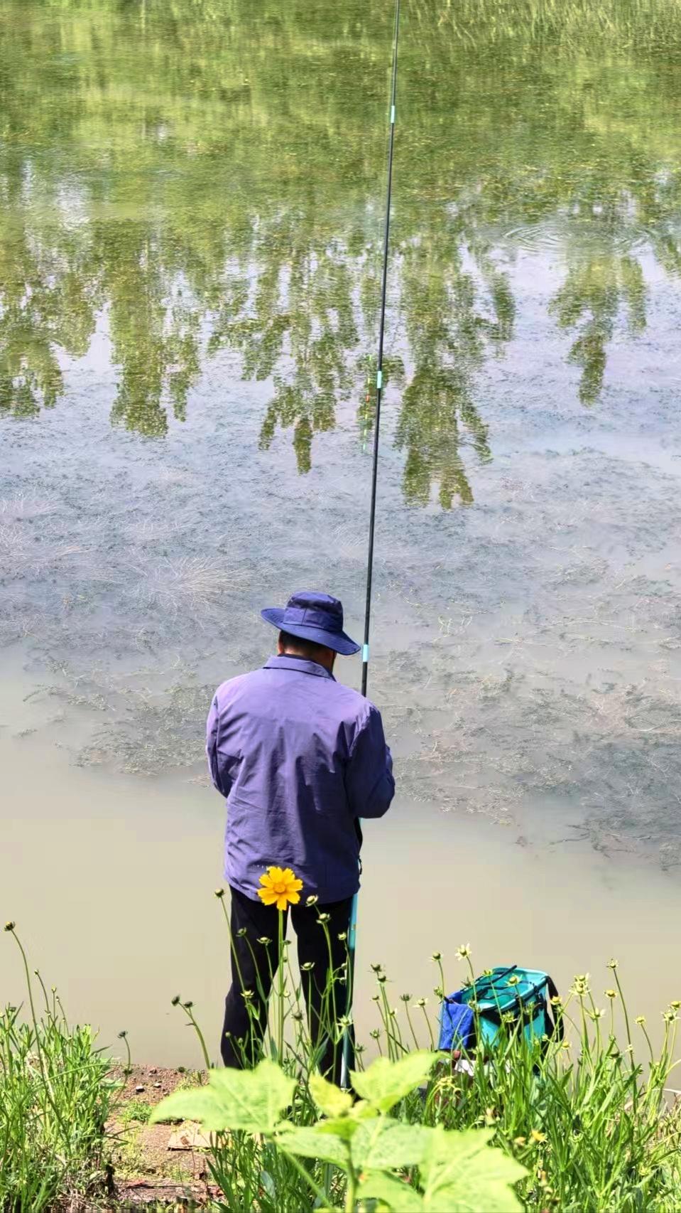 上周末，我开着奔腾小马直奔城南野河去钓鱼。那河边有个二十来度的土坡，地面还全是碎