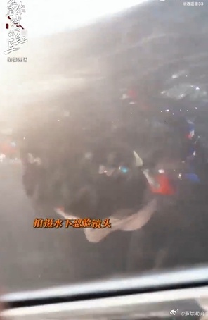 赵晴callback绛朱在金鱼缸洗脸 谁能不爱绛朱这段！为了效果反复拍几十遍，用