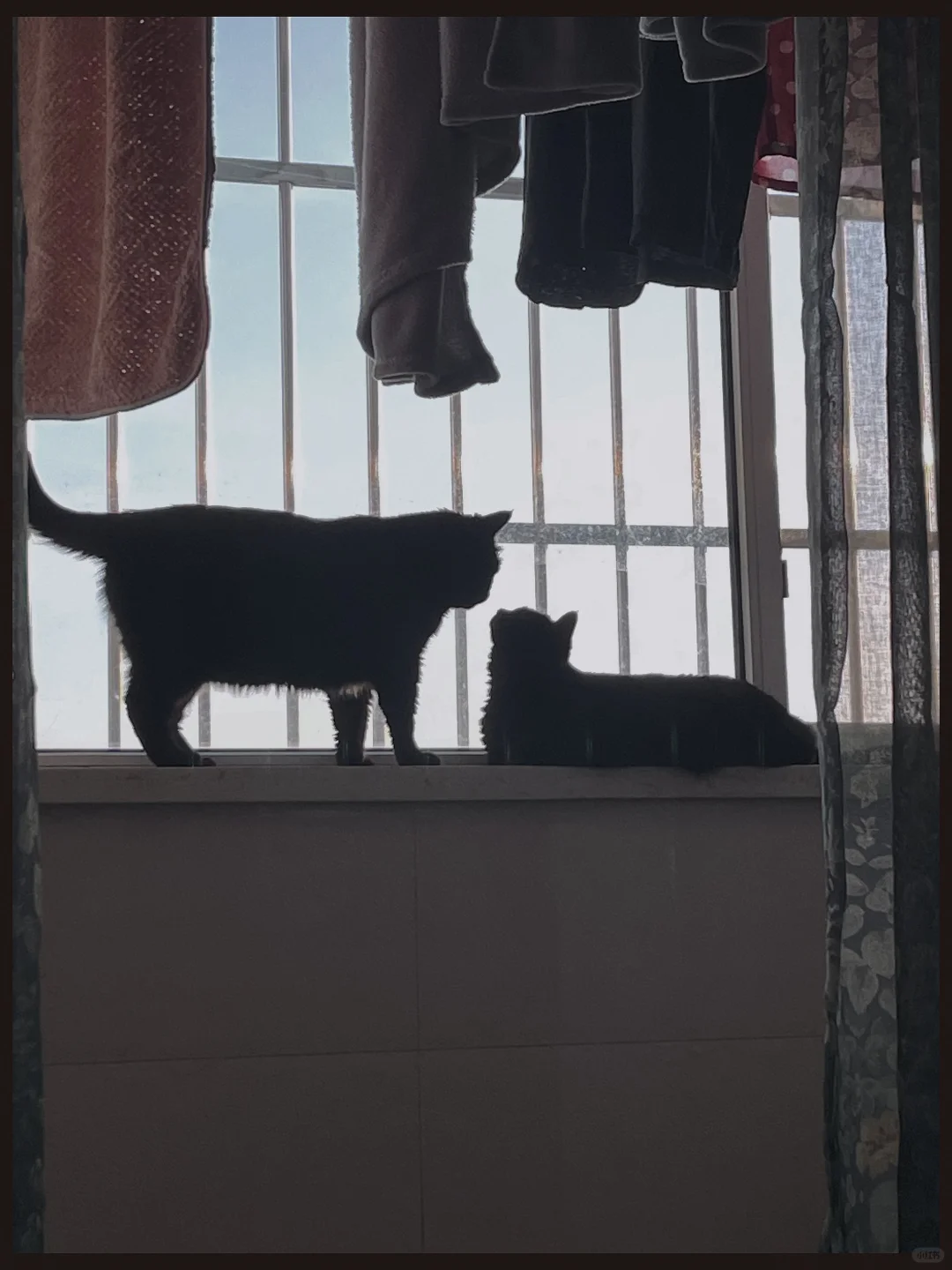 本以为遇到了绝美的爱情，结果只是……