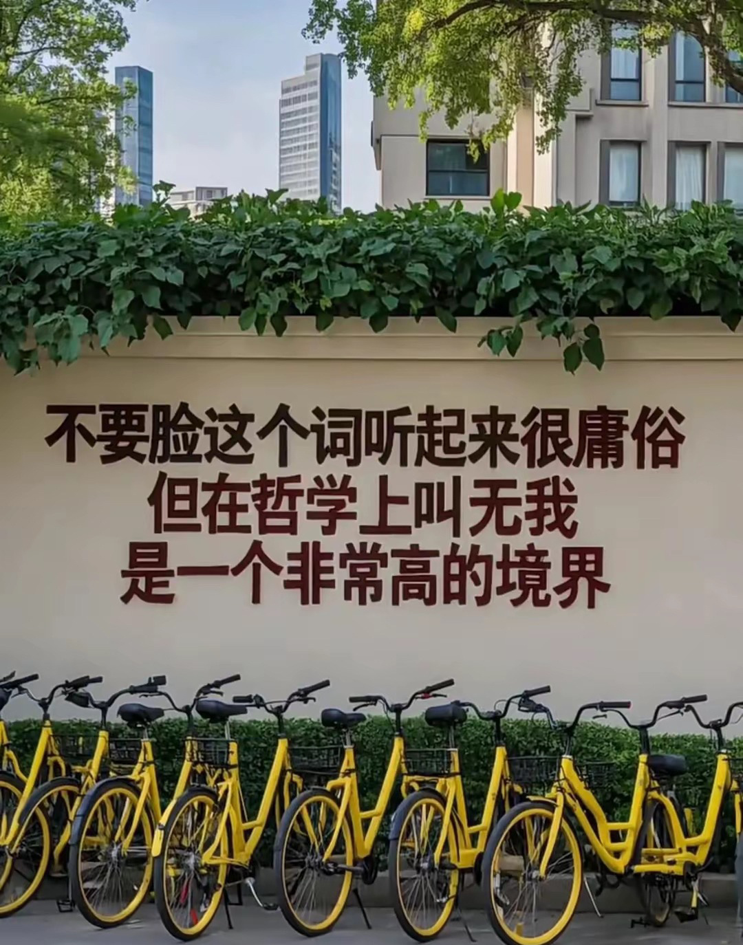 特朗普让我悟到了什么叫高境界的不要脸。 ​​​