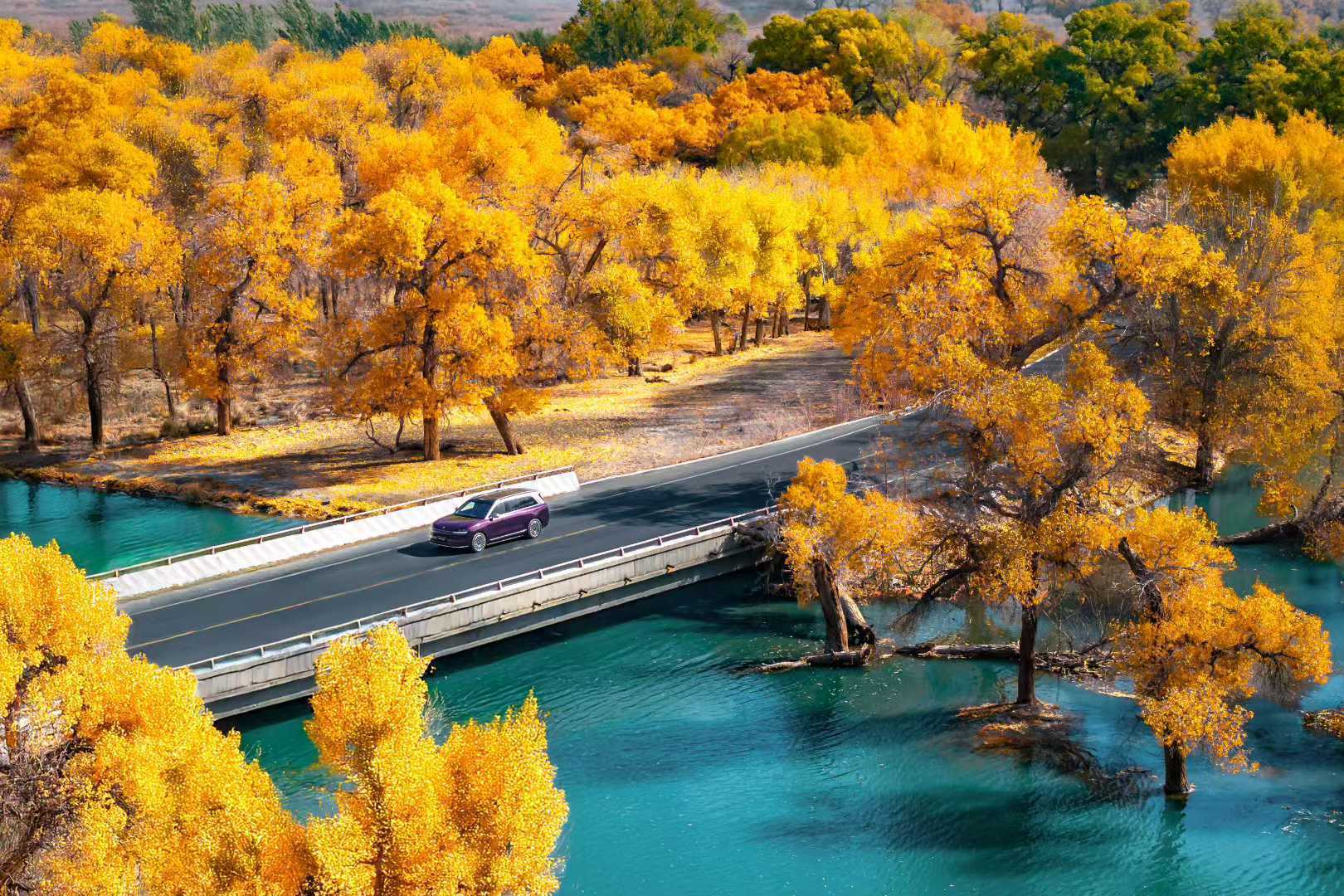 问界每卖5台车2台是用户推荐 之前大家也是一直在关注问界M7 ，但是我们现在也看