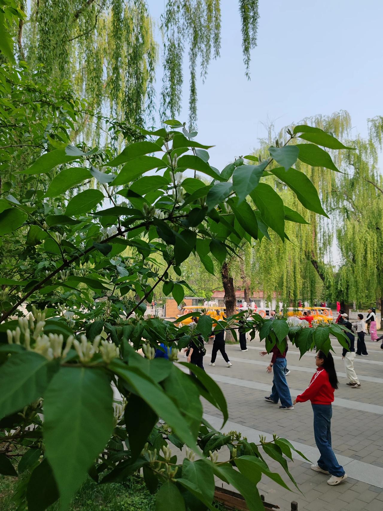 春日生活打卡季