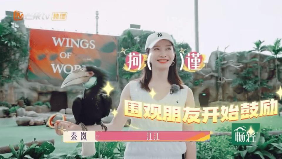 #第一次见江疏影这么笑#笑不活了，姐是真被这只鸟吓到了，根本维持不住笑容哈哈哈哈