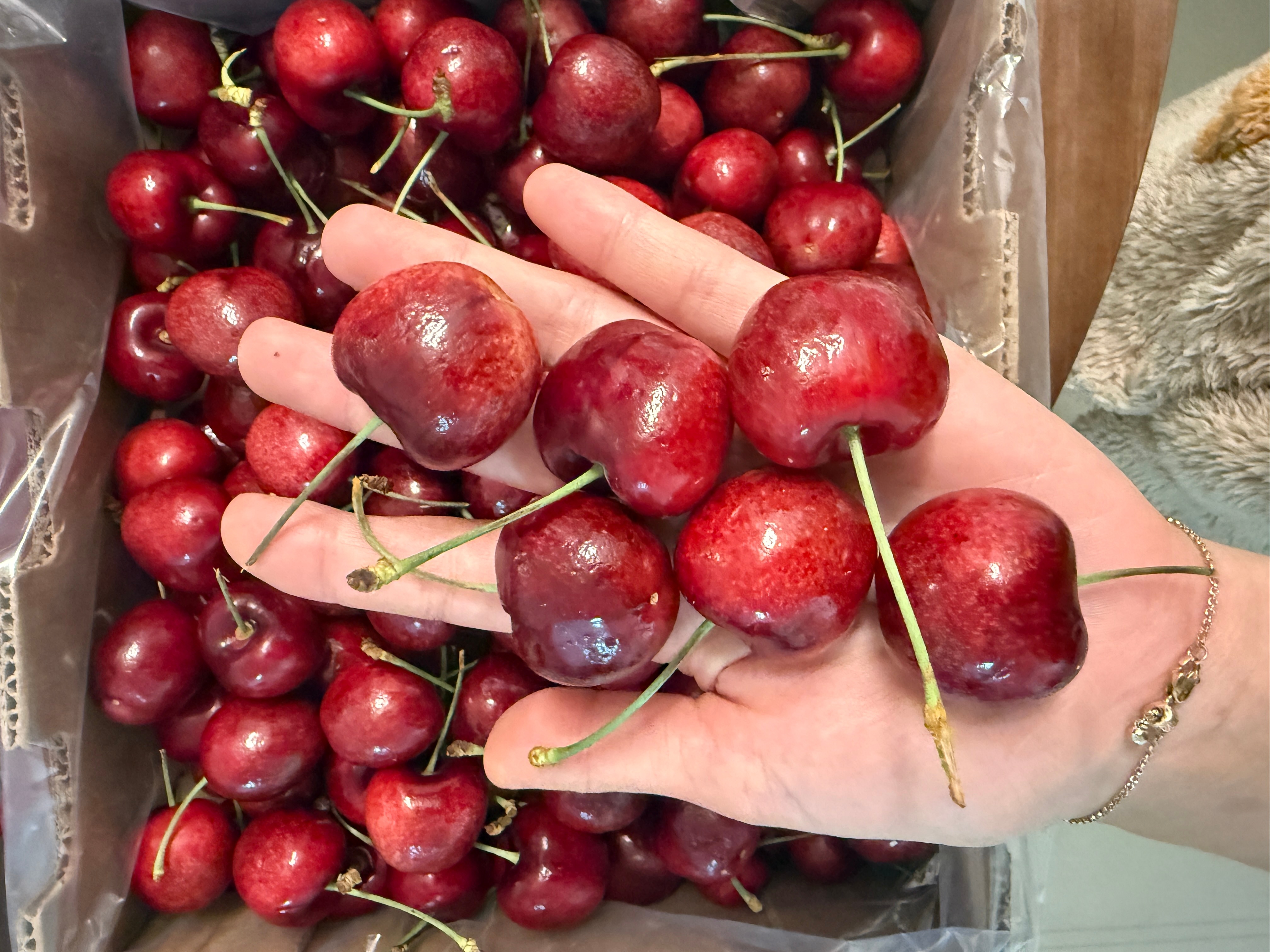 车厘子暴跌第一批受害者出现接上条，论我的行动力都体现在了哪里