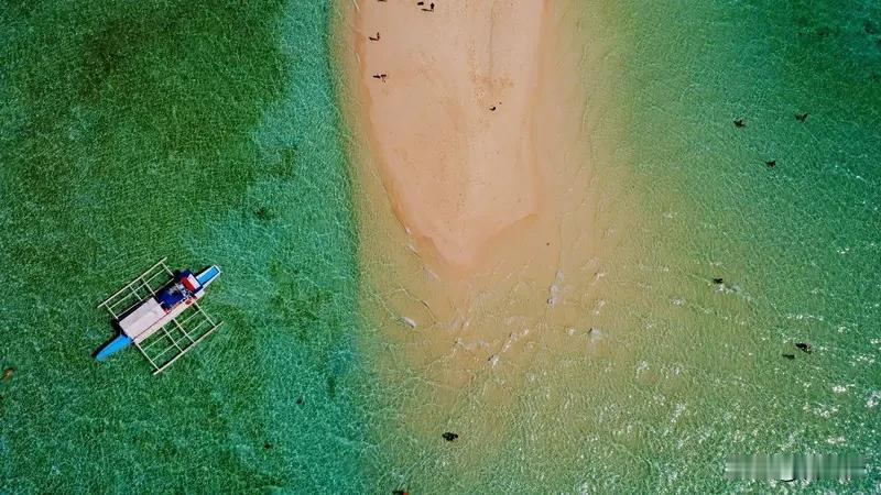 《喜大普奔！菲律宾恢复中国公民电子签证，3日启用？》
最新消息，俄罗斯卫星社11