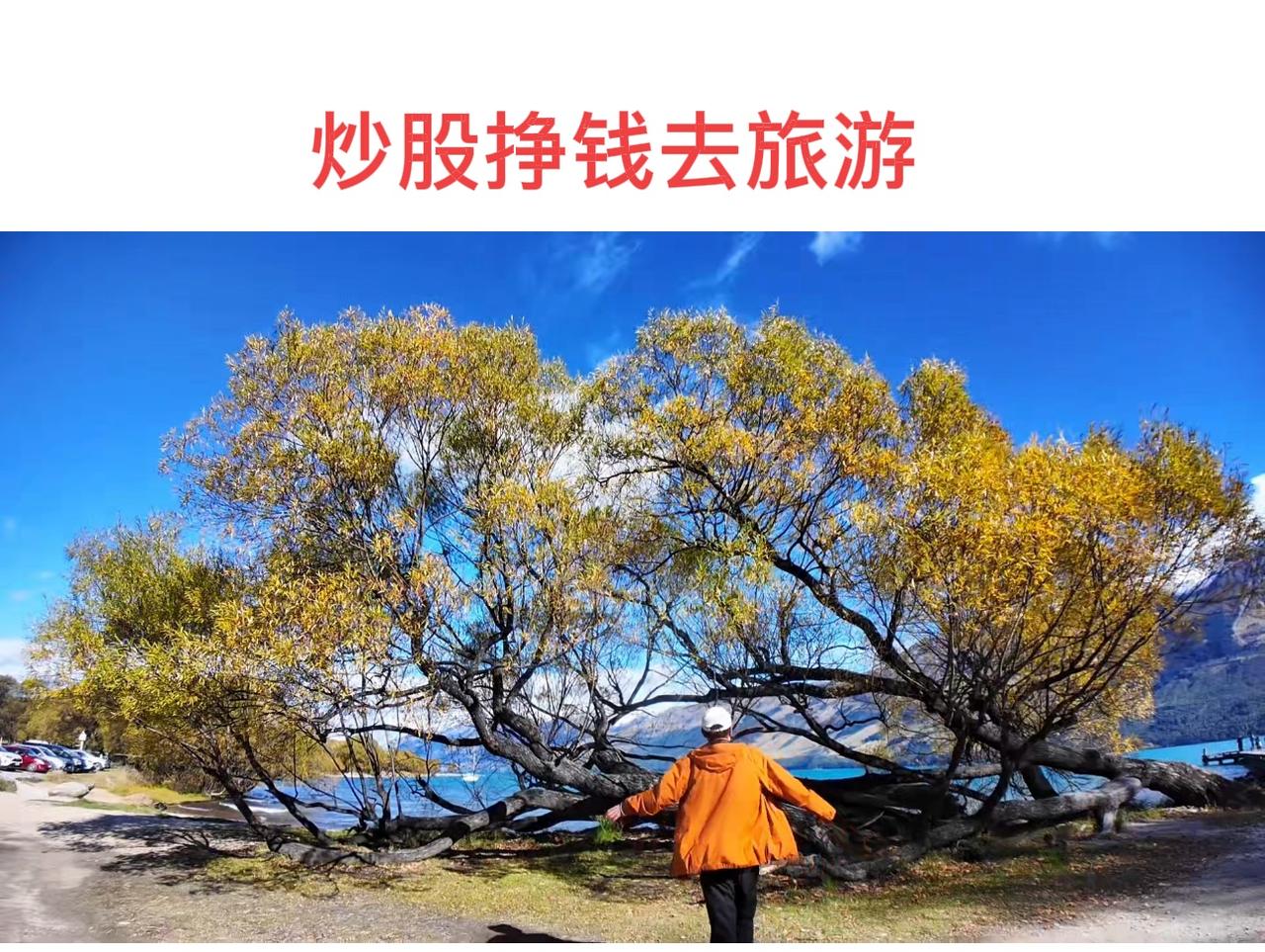 今天股市暴涨啊，股民都发财了，上午盈利六万多。
很可惜节前卖飞了几个，今天竟然2