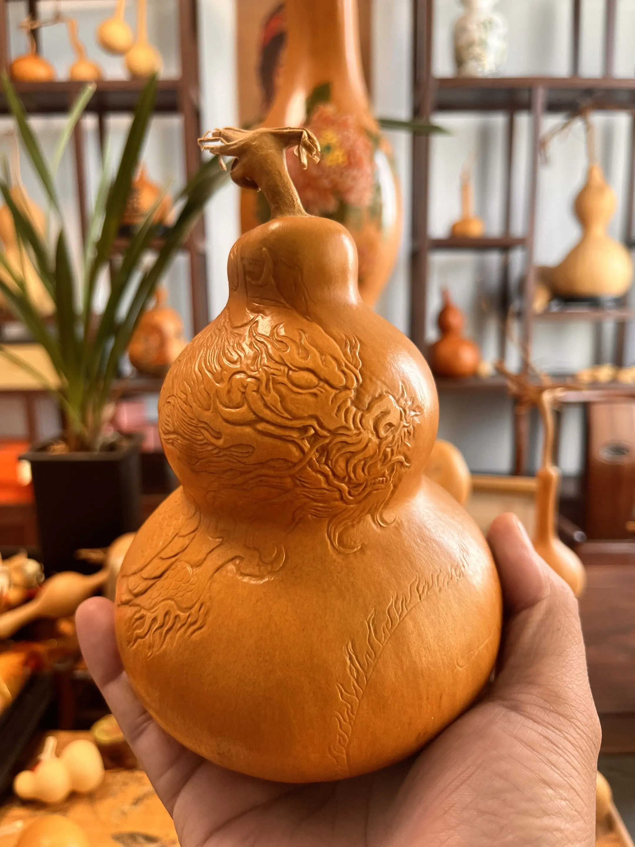 挑战100个压花-龙，第一个开始。
