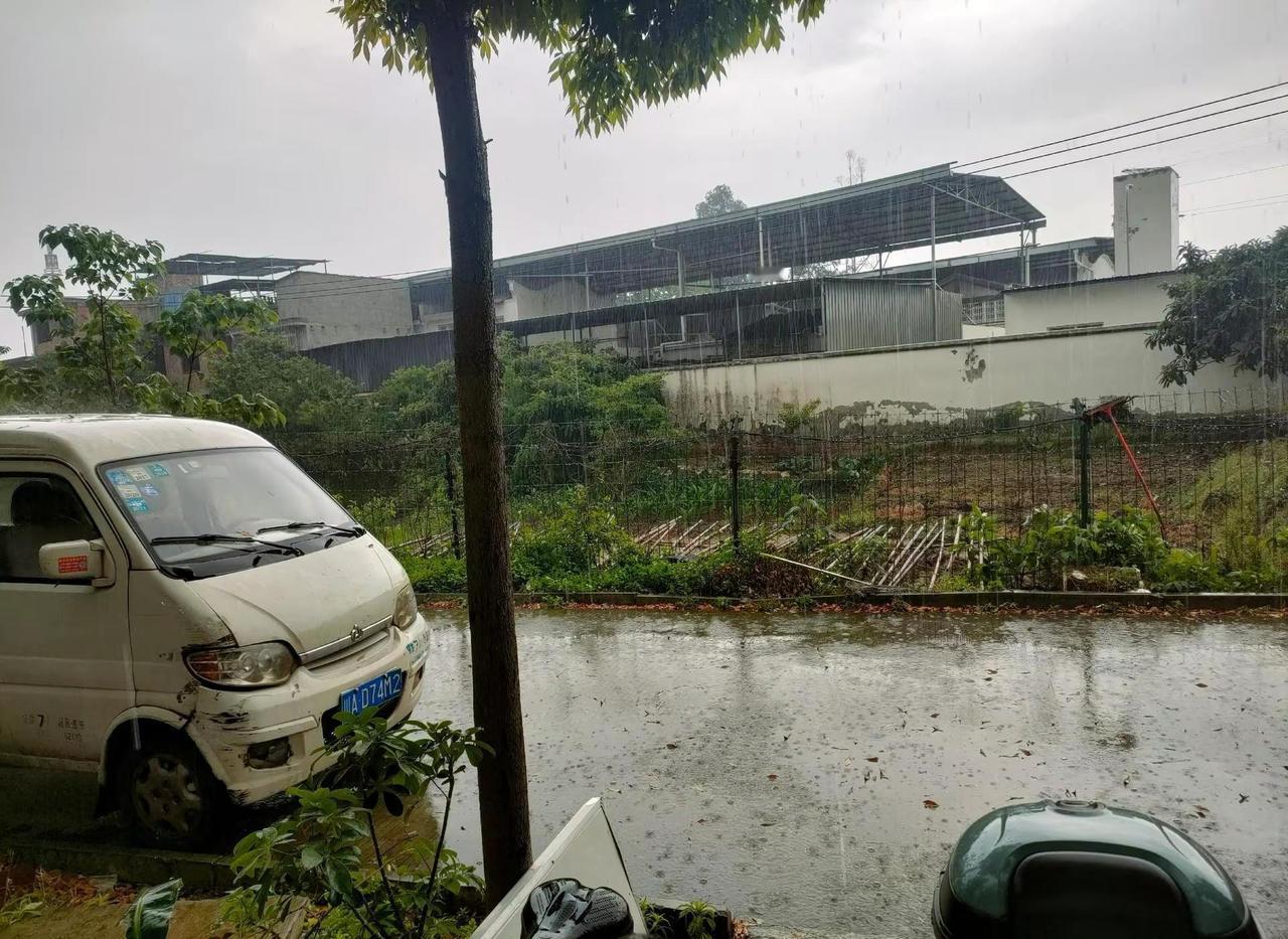 成都的雨是说下就下。成都的雨是说下就下，还是狂风暴雨雨一直下不停 狂雨来袭 下雨