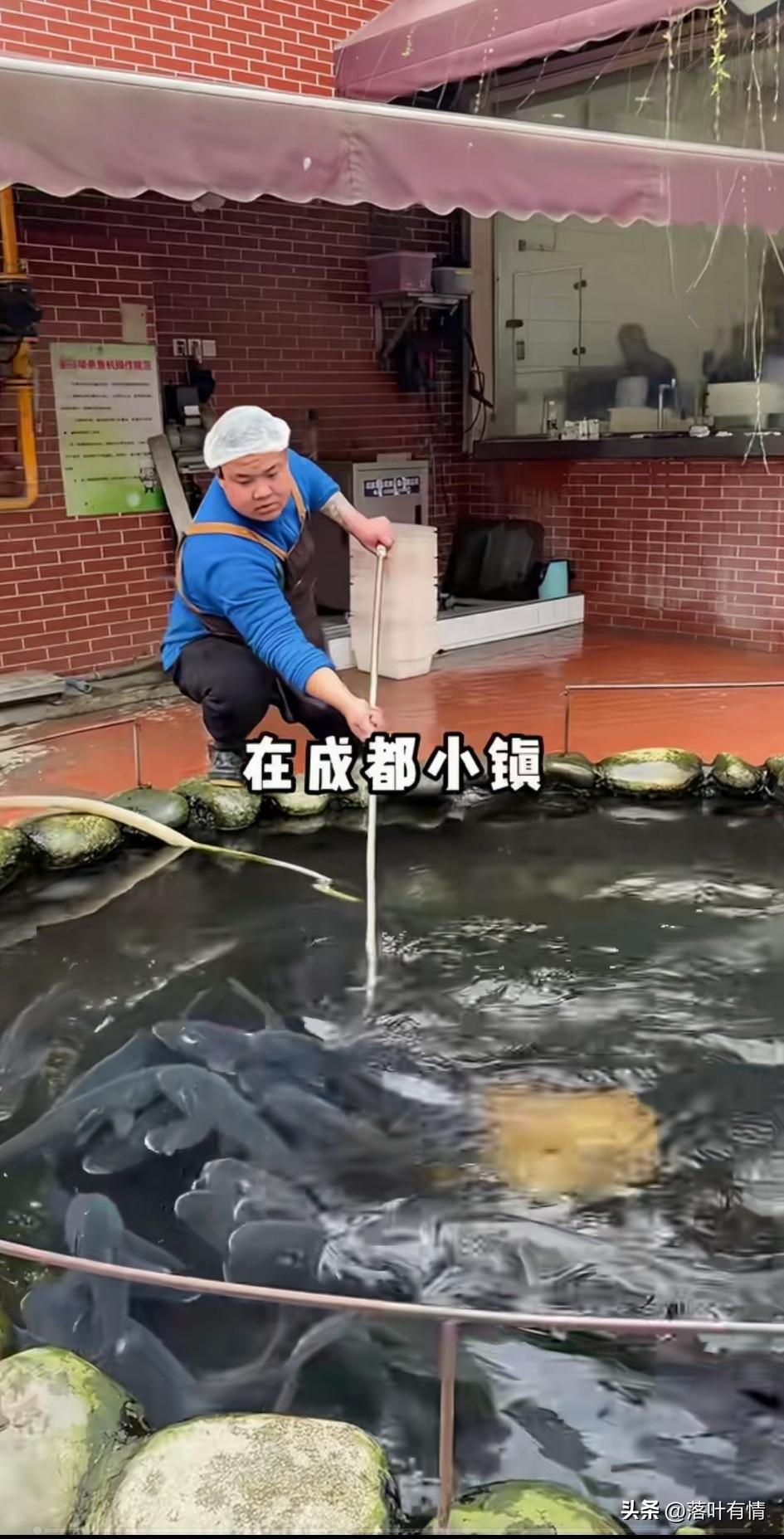 在成都鱼火锅非常出名，
这里卖鱼居然一天上千斤，
他们都是在店门口挖一个水塘，