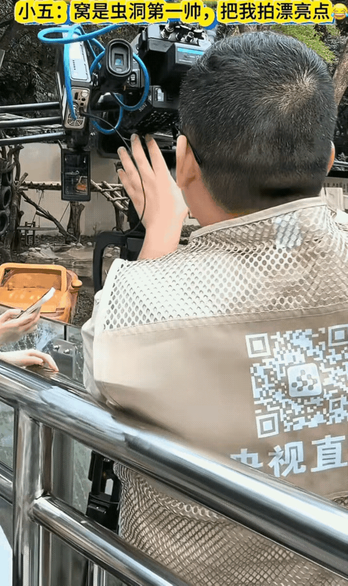 莽小五是不是成精了？本来还在埋头苦干的，发现央妈的镜头对着他在拍，马上正襟危坐，