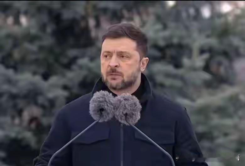 一觉醒来，泽连斯基宣布乌克兰放弃加入北约。

理由是为了西方的“安全”，自己愿意