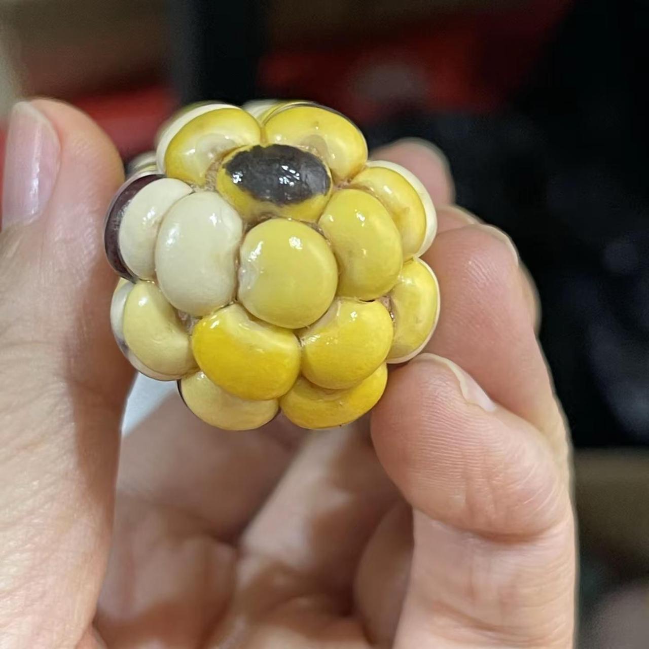 大方展示你的手工diy 彩色文玩小玉米 手作治愈时刻 手作爱好者 手作的治愈感