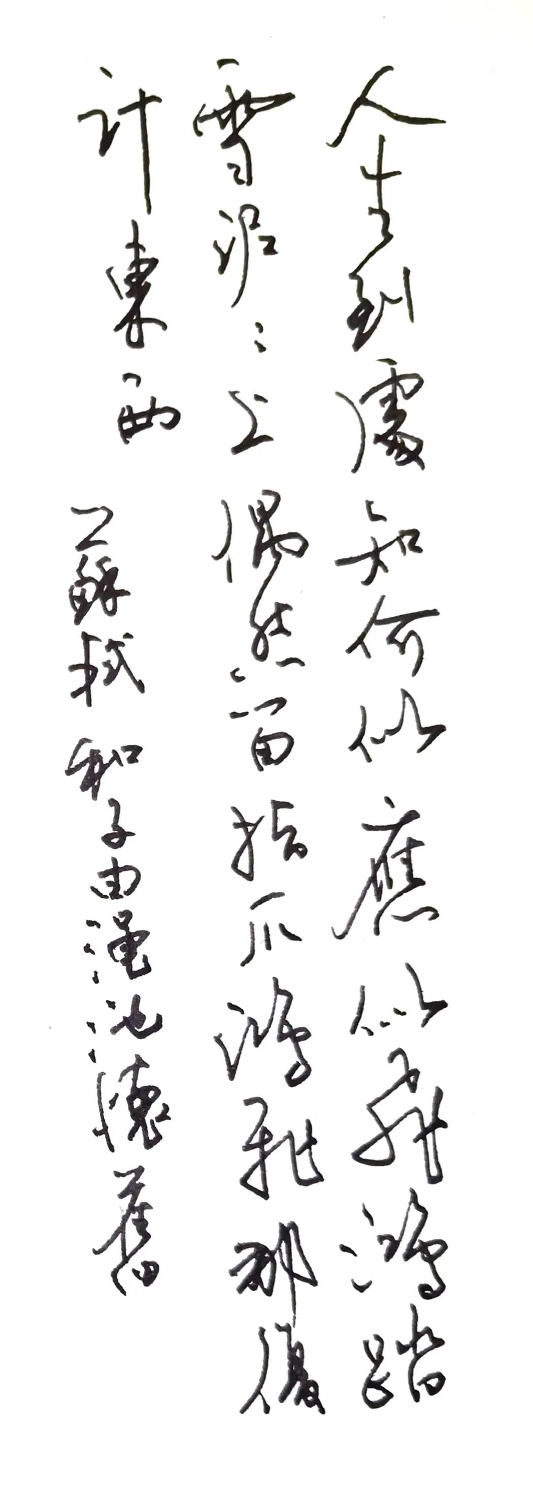 钢笔抄写苏轼《和子由渑池怀旧》
人生到处知何似，
应似飞鸿踏雪泥。
泥上偶然留指