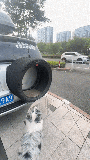 这个好。
停车会叫，被人追尾可缓冲，必须加鸡腿。
