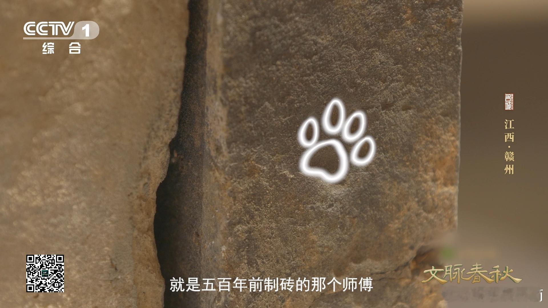 #江西古城墙上有块500年前的小猫砖##文化中国行观古城文脉# 江西古城墙的小猫