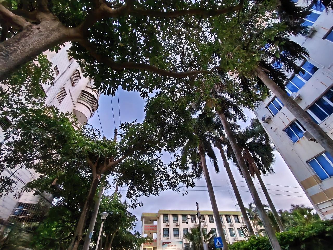 特别认同一句话：“人到中年，慢慢就懂了，不必讨好谁，也不用勉强合群，圈子小一点，