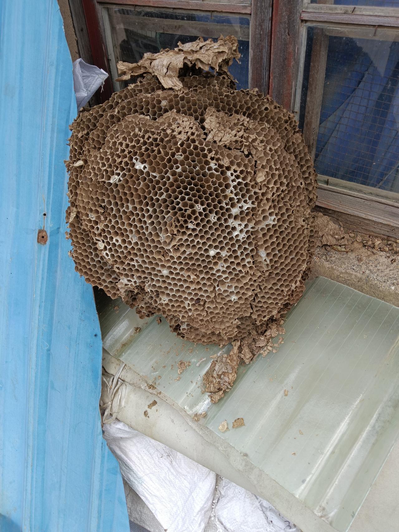 村里的慢生活，有些物品好像难得一见，城里人不认识，农村里的年轻人大概也不认识。