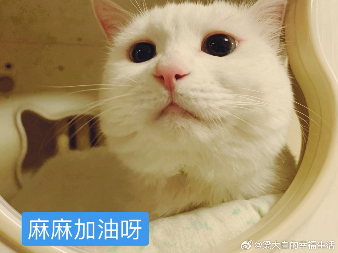 订好了，6.19号去围攻五台山看见五一的时候五台山上人山人海，端午节应该也是有一