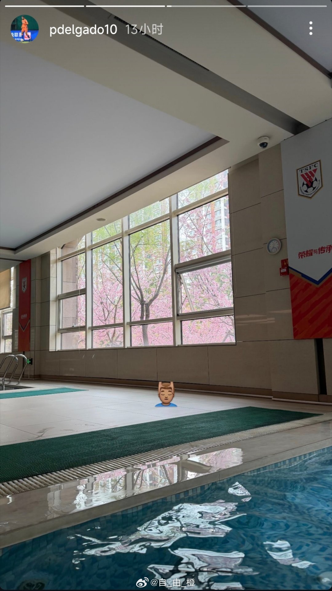 德尔加多社媒动态自由橙山东泰山