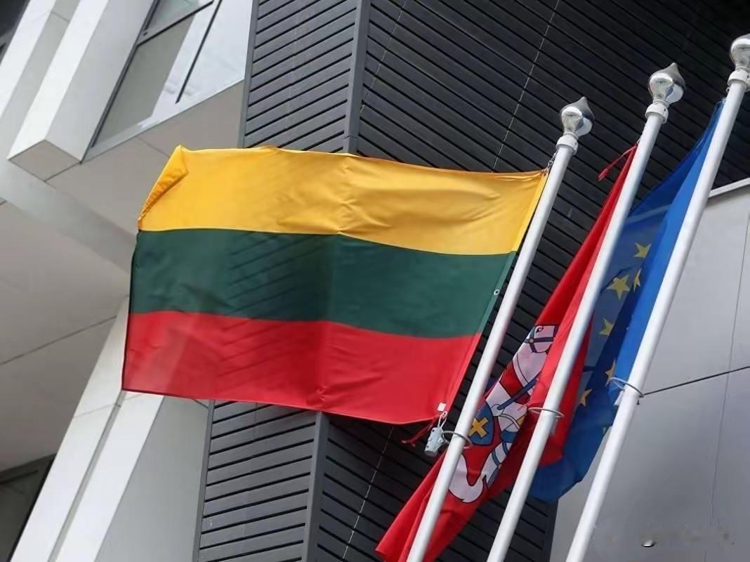 中美同时发出警告，洪都拉斯若敢背信弃义，后果会比立陶宛更严重

大选之夜很安静，