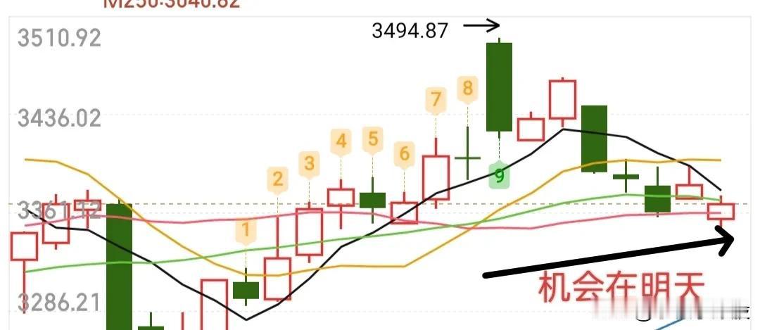 别怕，今天就只适合T着玩，越怕思维越混乱，只要胆大，只要敢吸，基本都会给个不错的