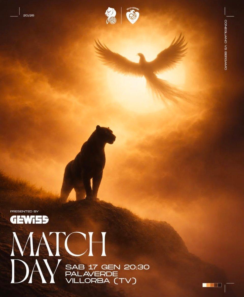 女排 贝加莫做的这张与科内赛前的海报很好看哦，凤凰(或不死鸟)与黑豹世界女排新闻