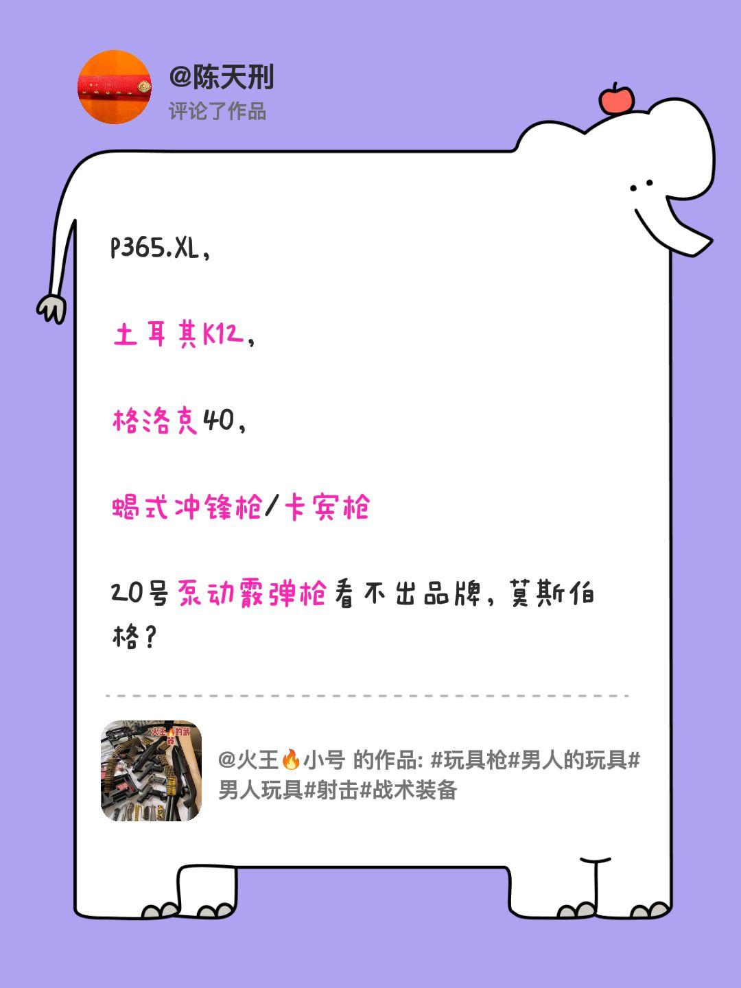 我评论了@火王🔥小号 的作品：
P365.XL，

土耳其K12，

格洛克4