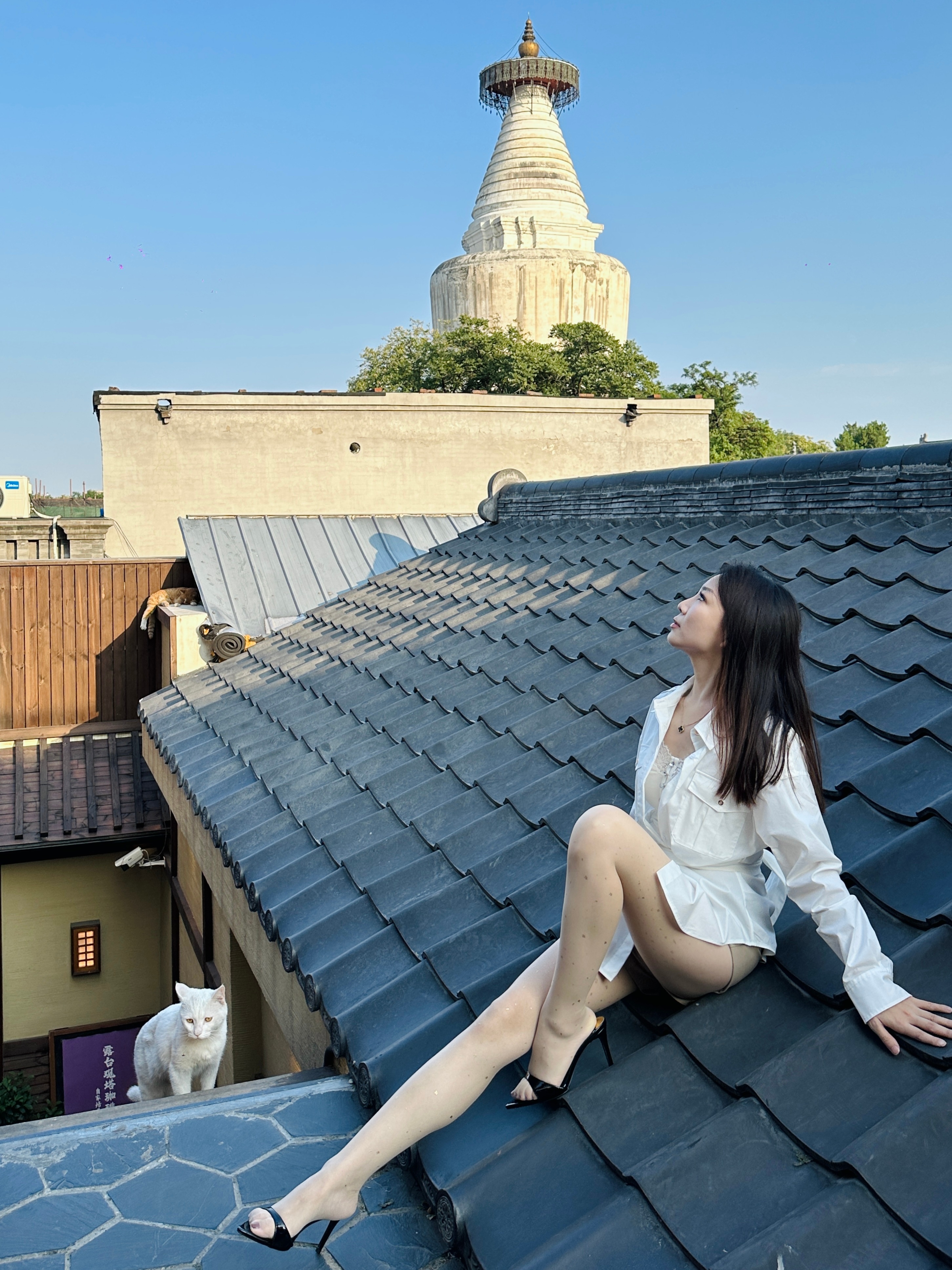 🍁世上安得双全法不负如来不负卿ootd涞觅润丝涞觅桂花糕  ​​​