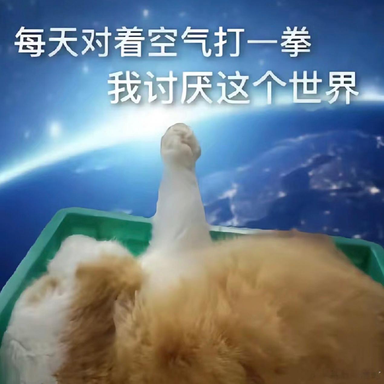 🆘强迫症被打乱计划后一系列的事都让人崩溃 ​​​