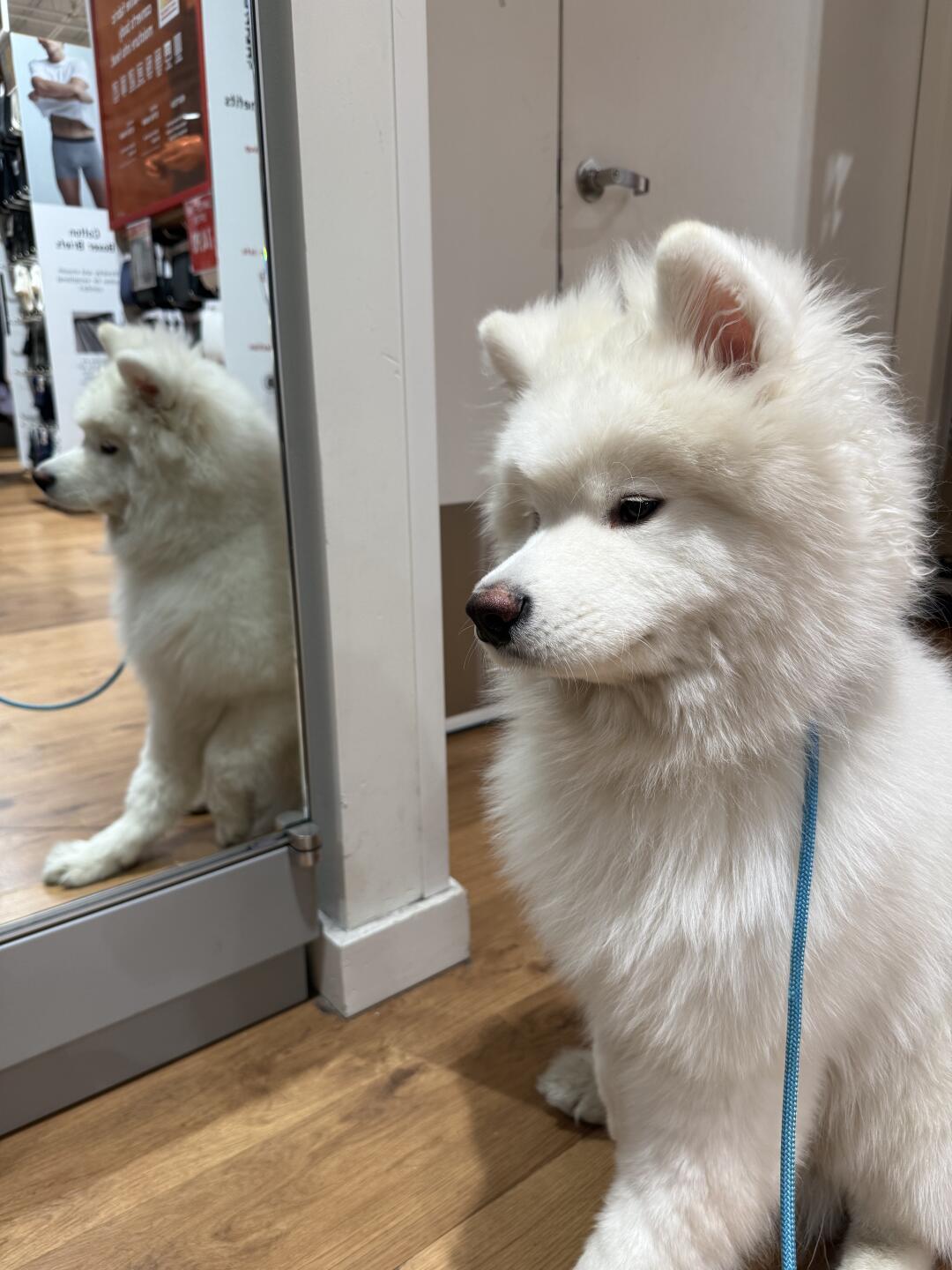 不玻璃心，孩子可以做童模吗？ 