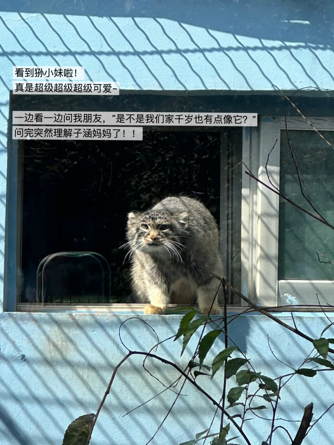 西宁青藏高原野生动物园Repo