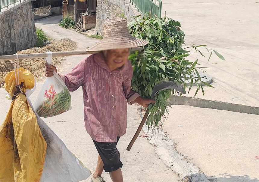 这个贵州苗族老奶奶86岁，依然顶着烈日下地干活，是不是非常辛苦？但是你看他满脸的