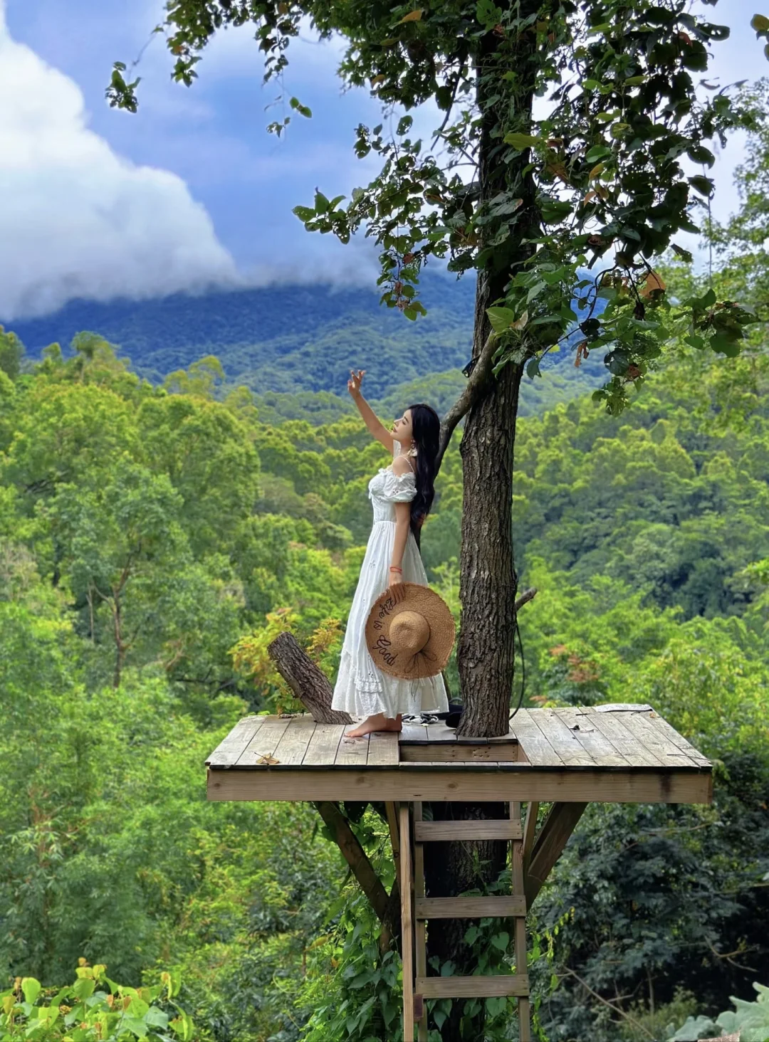 在海南！被严重低估的绿野仙踪🌿