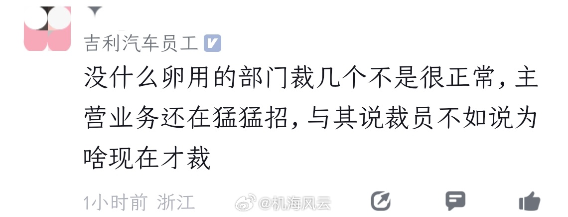 哈哈哈，这个吉利员工评价『吉利裁员』倒也直截了当，看得出来是活得比较通透，应该不