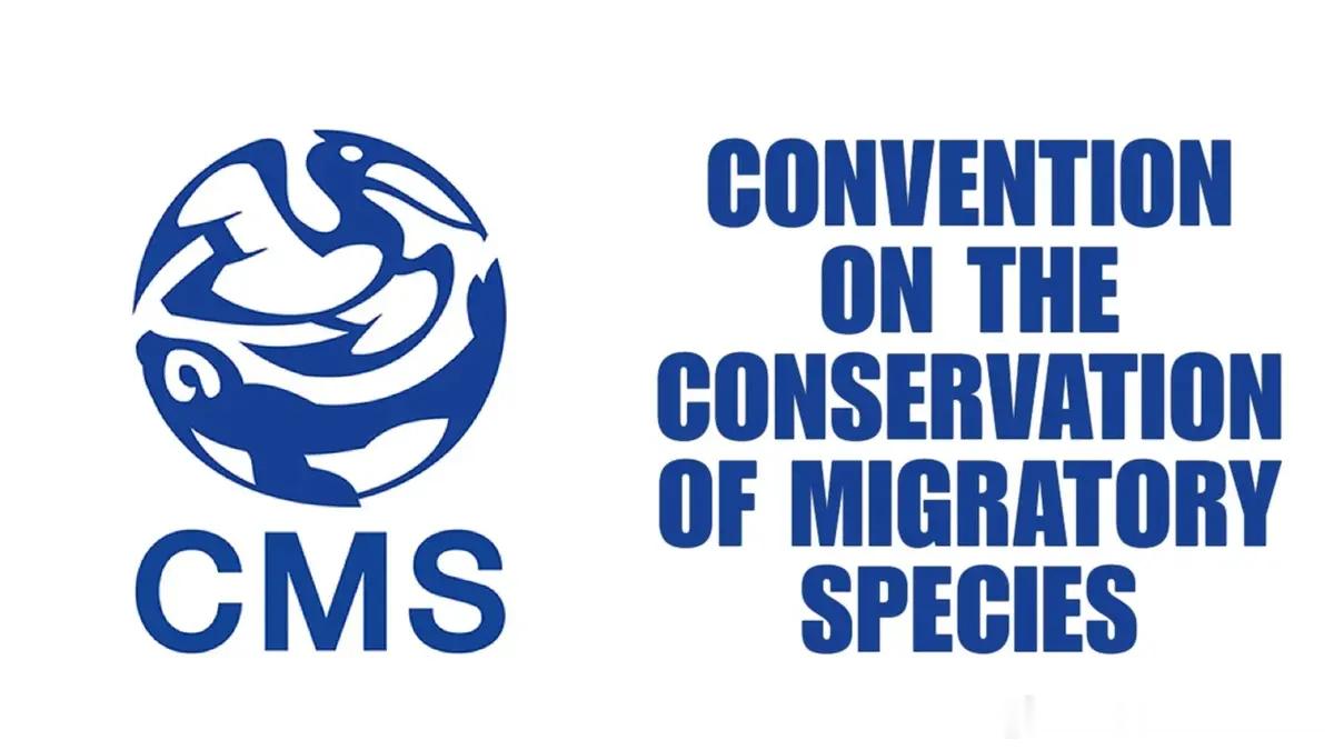 CMS执行秘书艾米·弗伦克尔正式卸任，七年履职收官近日，《保护野生动物迁徙物种公