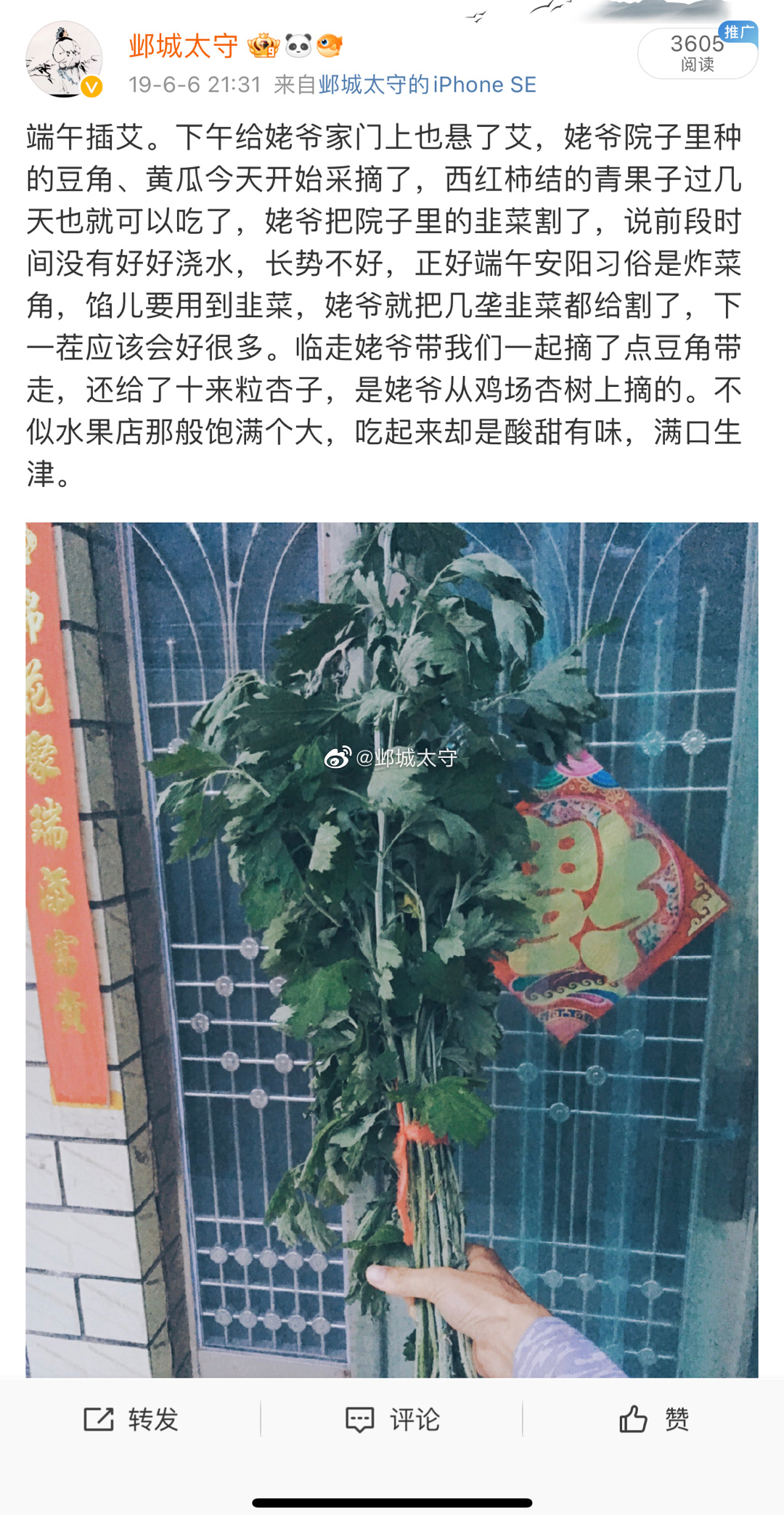 今年的端午没插艾，怕因此而睹物思人。 ​​​