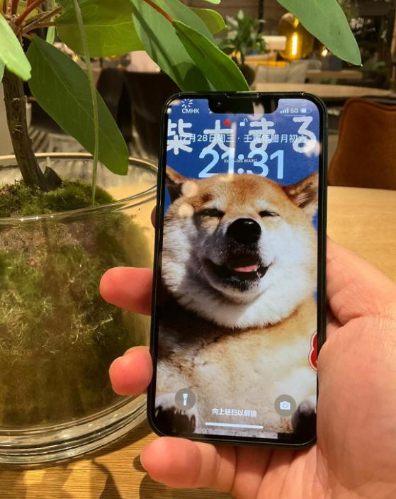 iPhone15系列看来也还是没有mini的版本，想要入手iPhone小屏的朋友