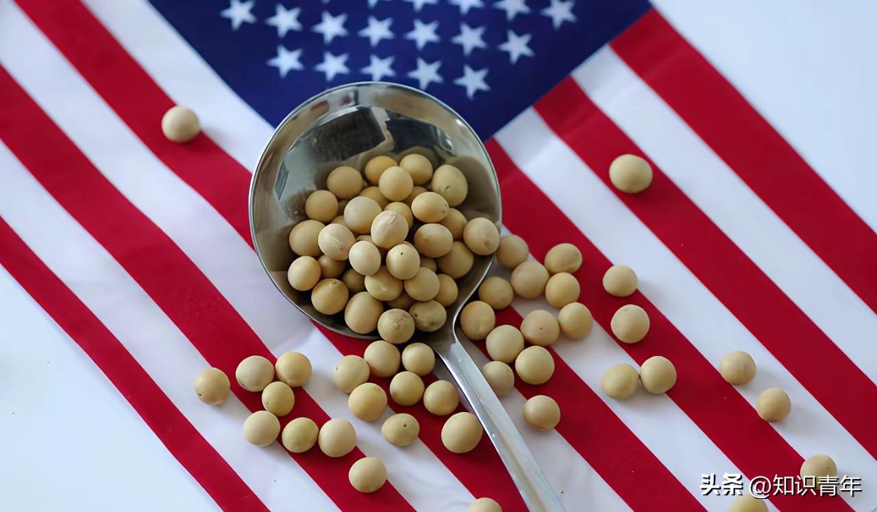 美国大豆为什么非得卖给中国？其实，从美国的角度来看，三年不向中国出口大豆，扩大国