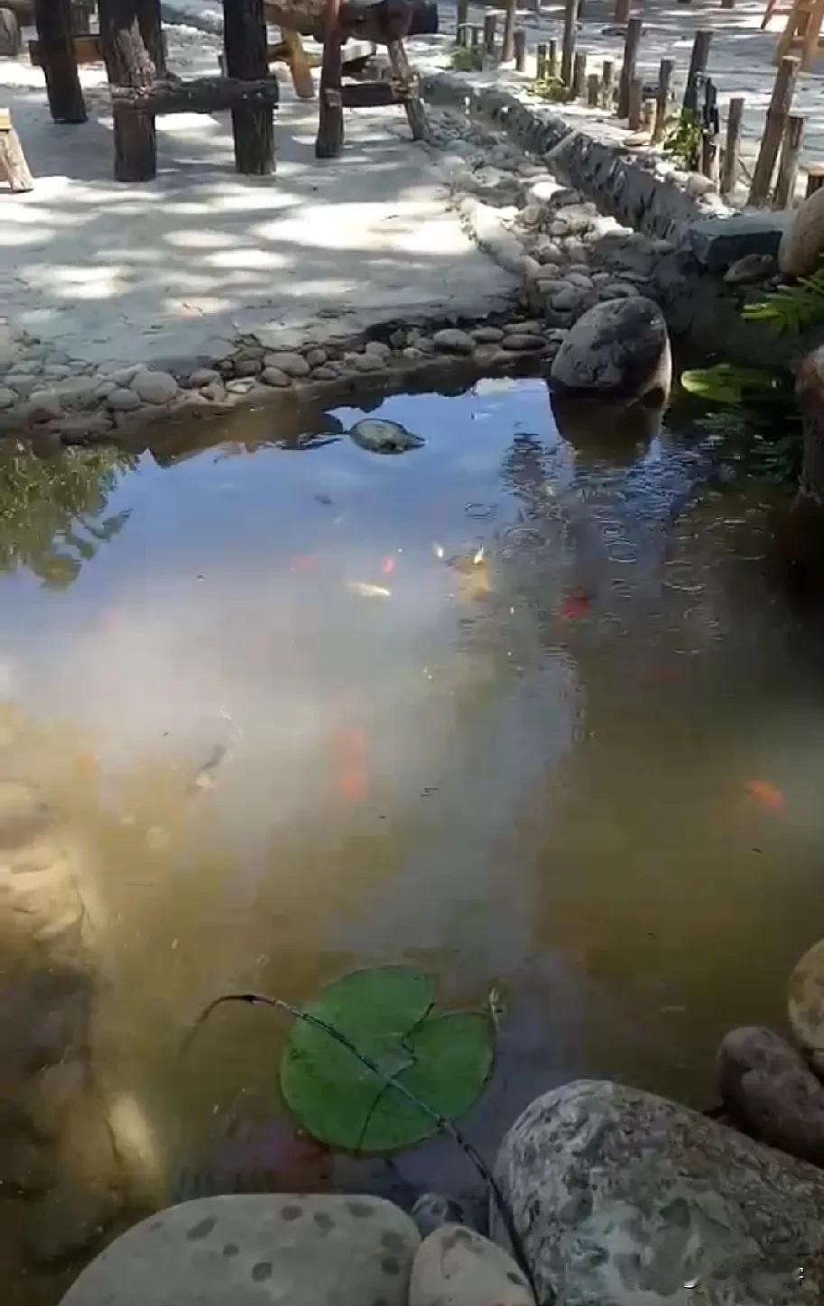 往后，只过寻常自在日子！

自己就是个普通的奔六的老头了，渐渐活明白了。往后不再
