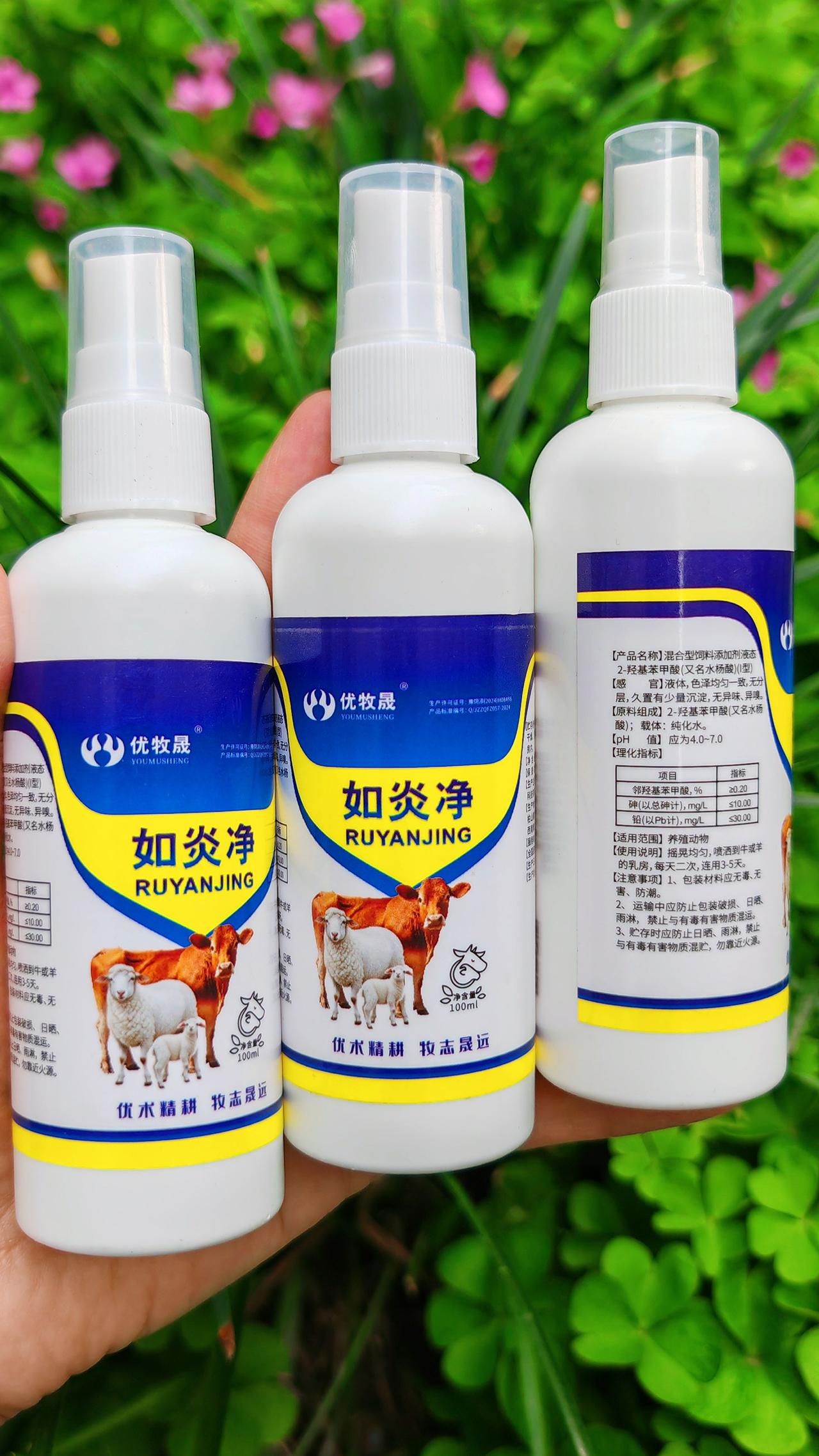 养羊人 农村养羊