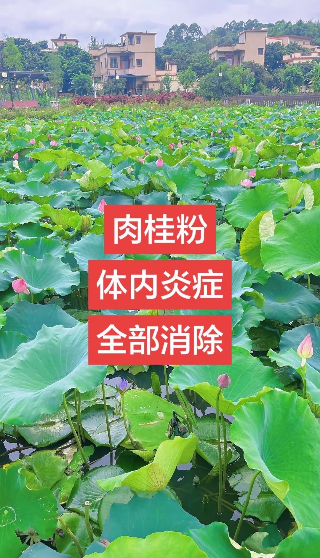 看得手心冒汗！孙颖莎连夺10分逆风翻盘，五局拉锯战胜金娜英，决胜赛点对手出现致命