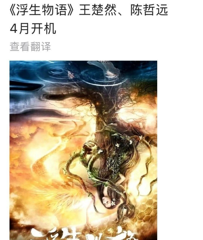 陈哲远王楚然或将合作浮生物语 陈哲远、王楚然或将合作大奇幻ip《浮生物语》，穿越
