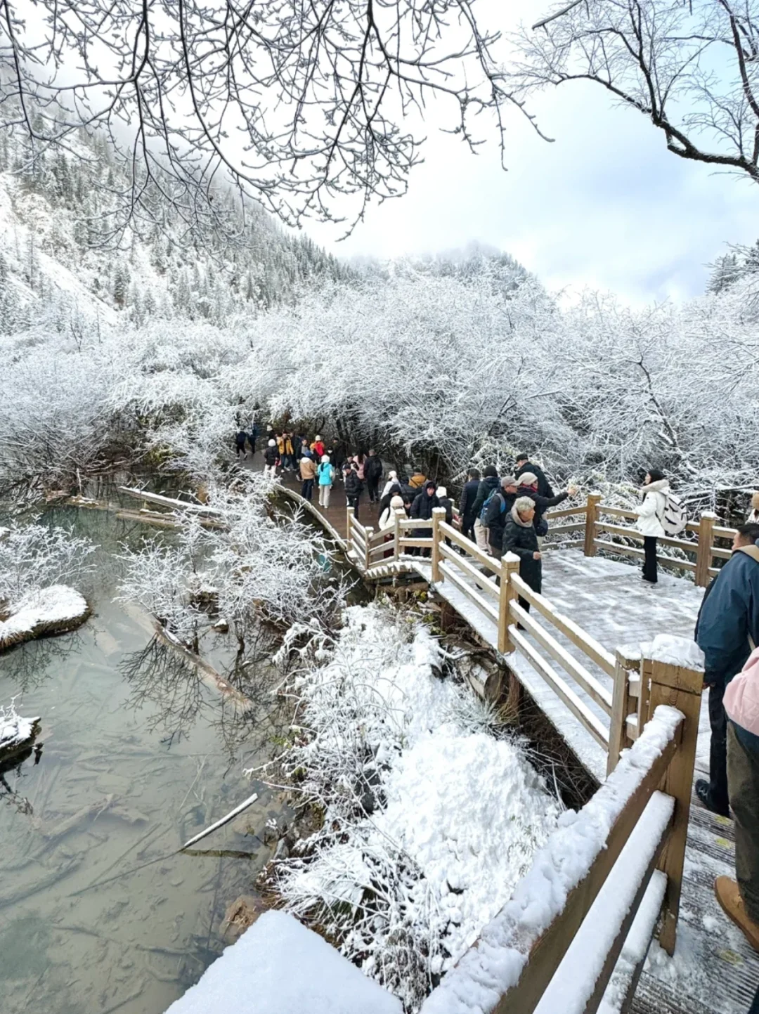 12.8现状📍下雪的九寨沟已经是Next Level