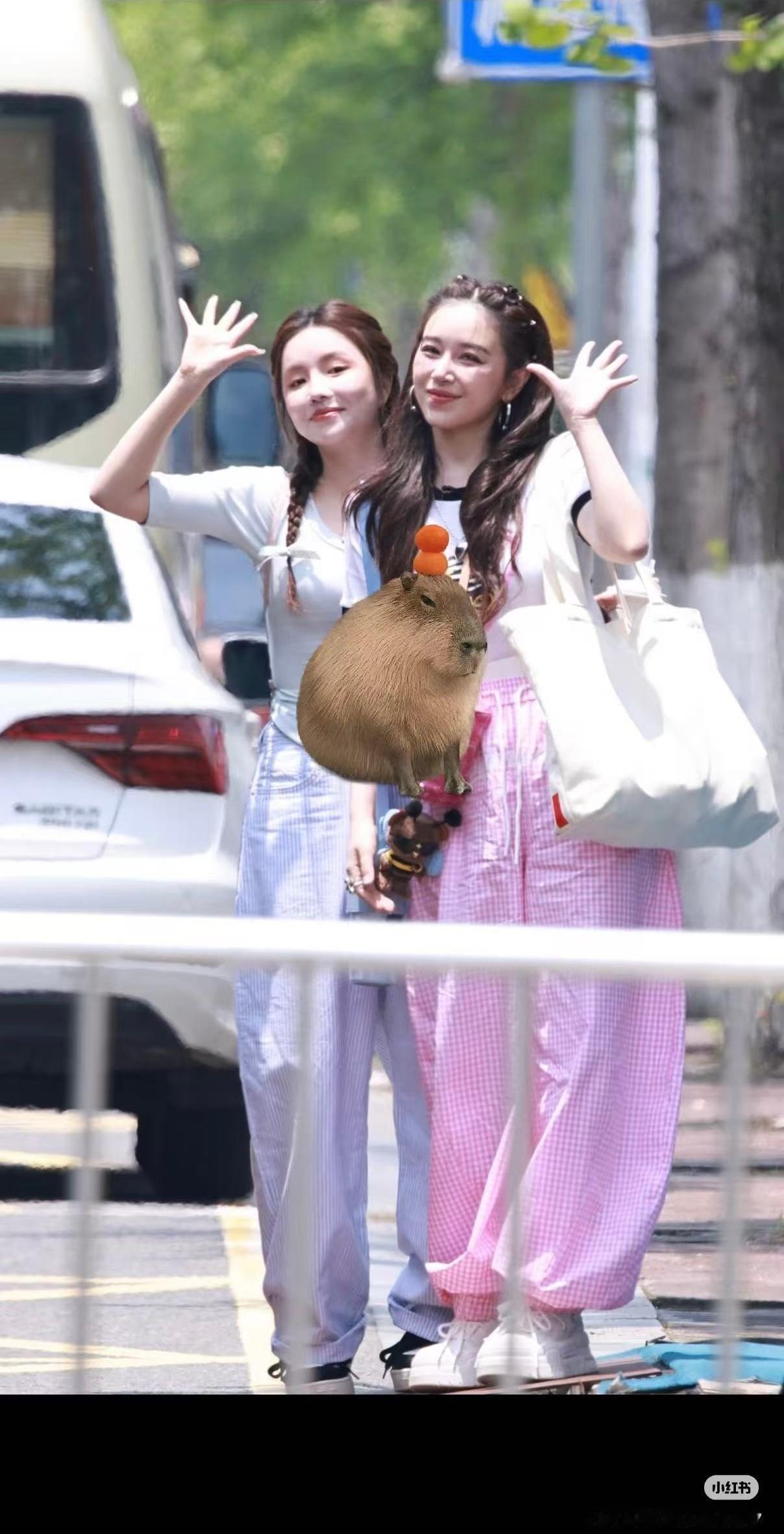 请问你们俩是一起团购的裤子吗