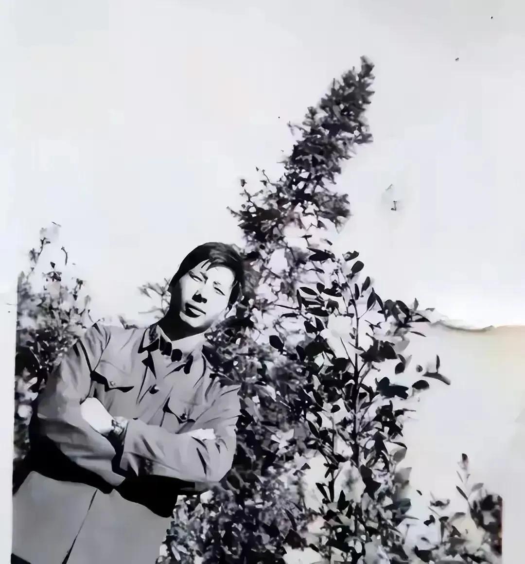 1979年，战士何源海中弹牺牲。然而，两年后，他竟然“活着”回到了村子，村民们惊